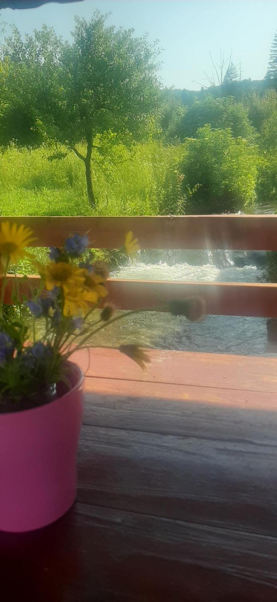 Guest House Mila Plitvicki Ljeskovac Exterior photo